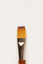 Load image into Gallery viewer, Nfinity Arts by Fibonacci - Flat Brushes (Snappy)