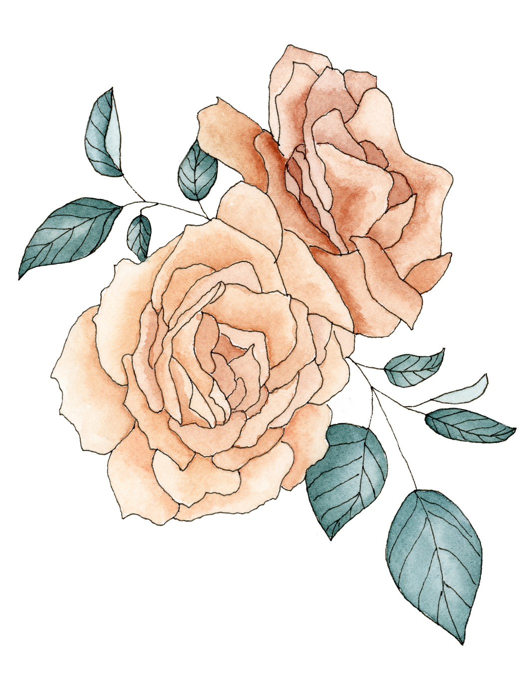 Cream Roses - Watercolor Print