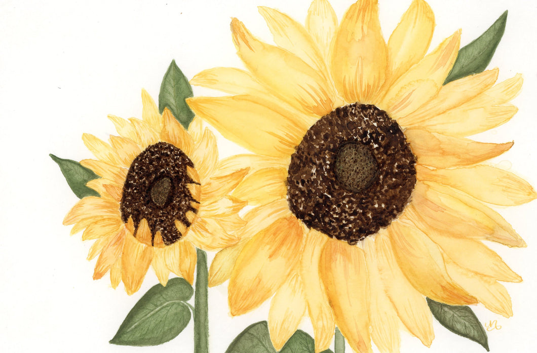 Yellow Sunflowers - Watercolor Print